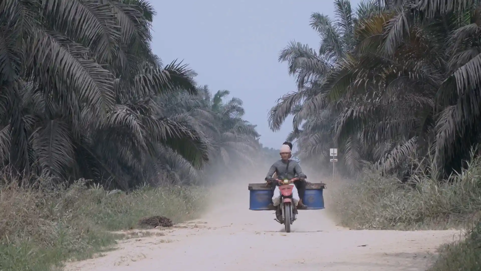 Upah Hidup di Bawah Bayangan Raksasa: Transformasi Pengetahuan Kolektif Warga Girisuko di Perkebunan Sawit Riau